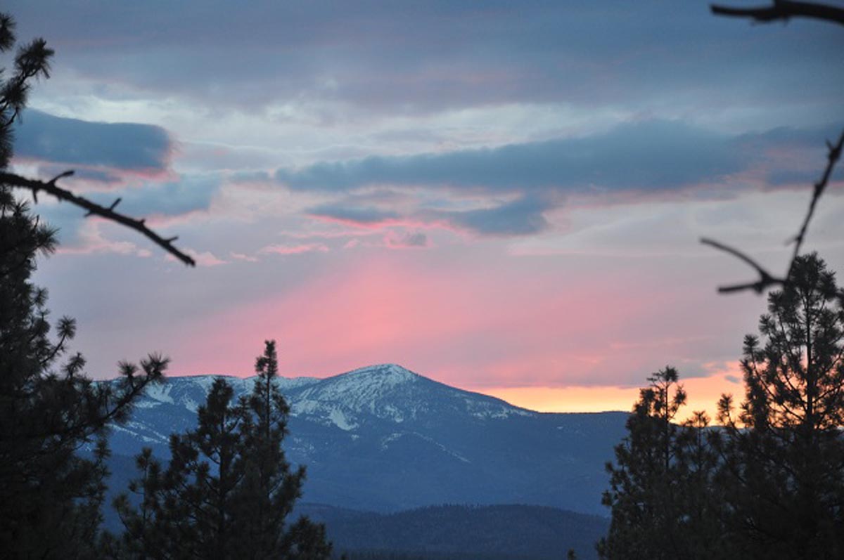 Mountain Sunset framed with trees